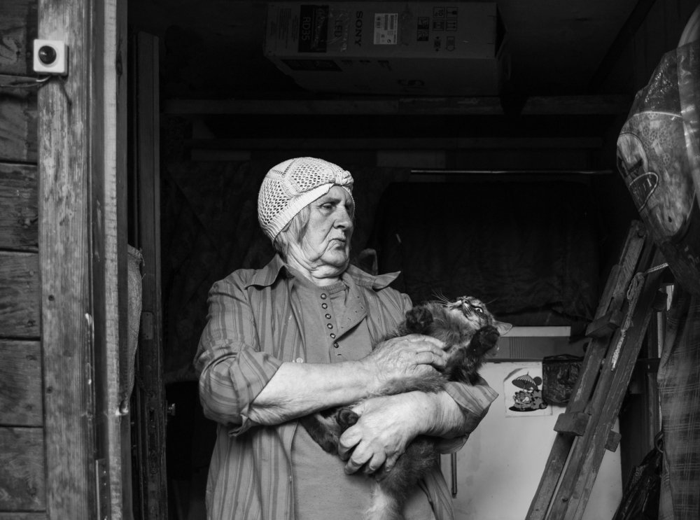 Укрощение строптивых