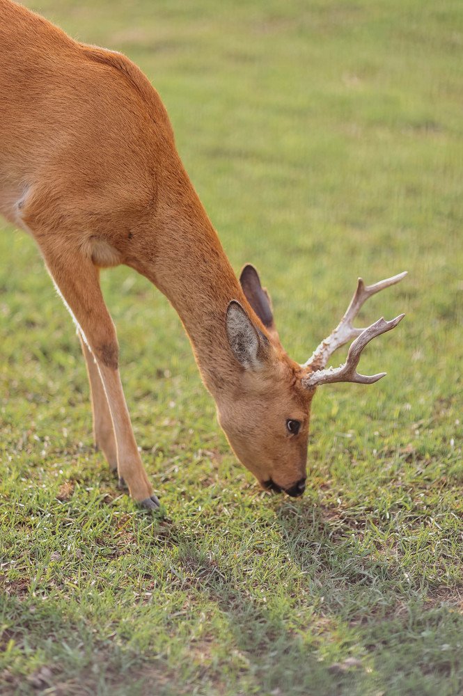 Photograph by Маргарита Федурина