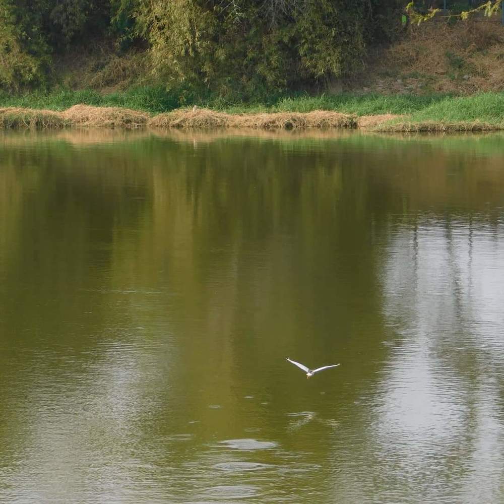 Photograph by Diwakaran D