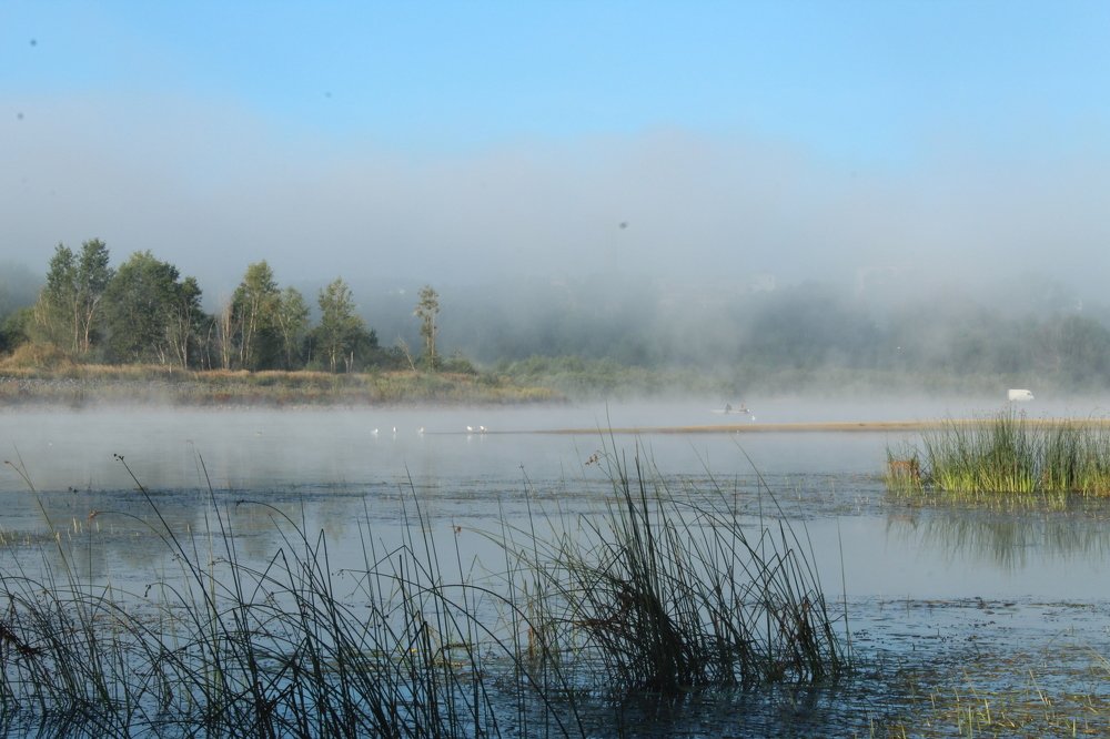 Photograph by Кристина Шоба