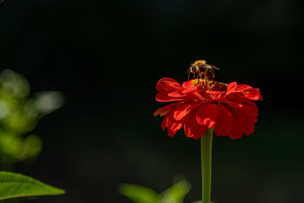 Обварожжжжжительно...