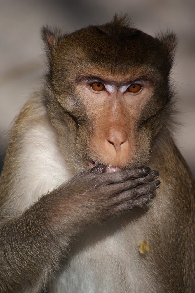 Photograph by Иван Серебряков