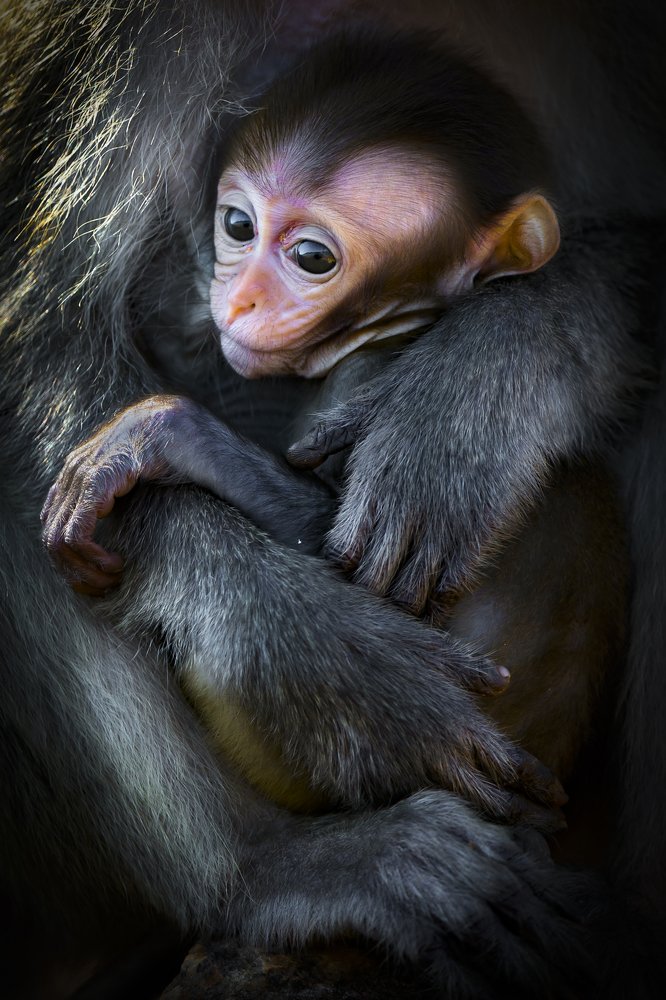 Photograph by Rin Võ