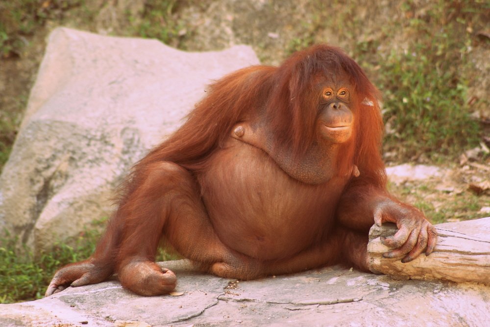 Photograph by Иван Серебряков