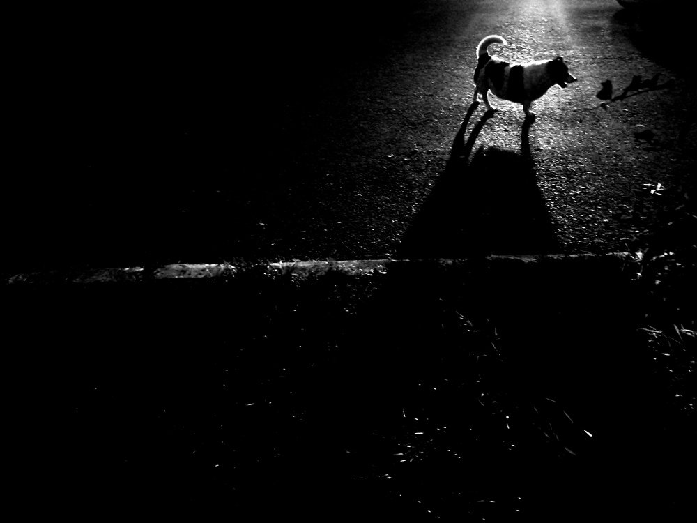 Photograph by Тамара Морозова