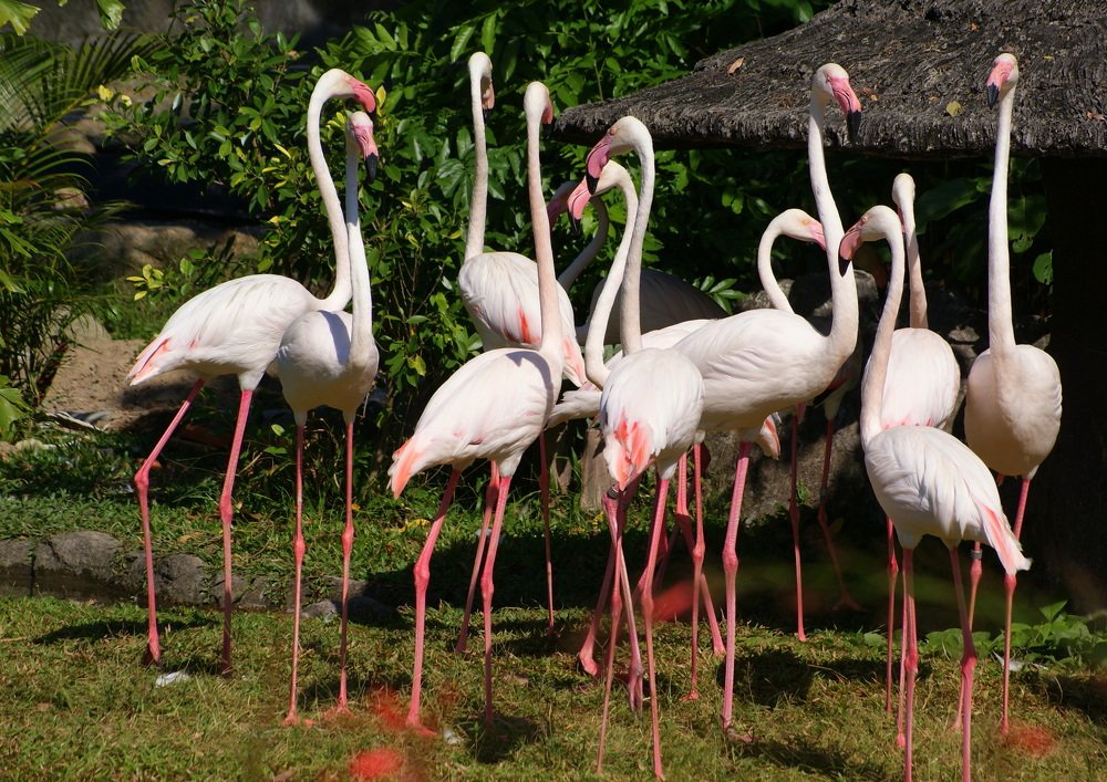 Photograph by Иван Серебряков