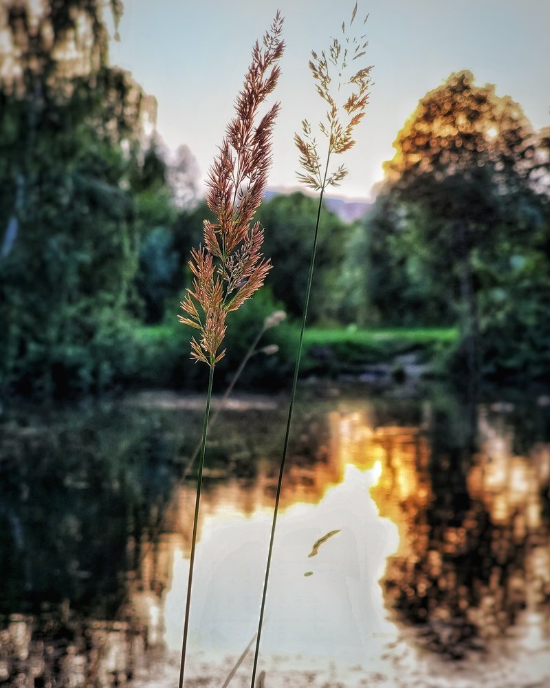At twilight's gleaming