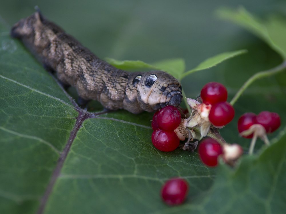 Photograph by Олег Тетерин