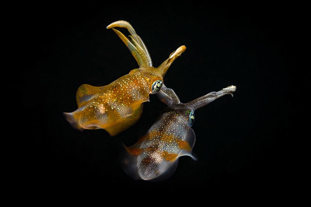 Photograph by Андрей Савин