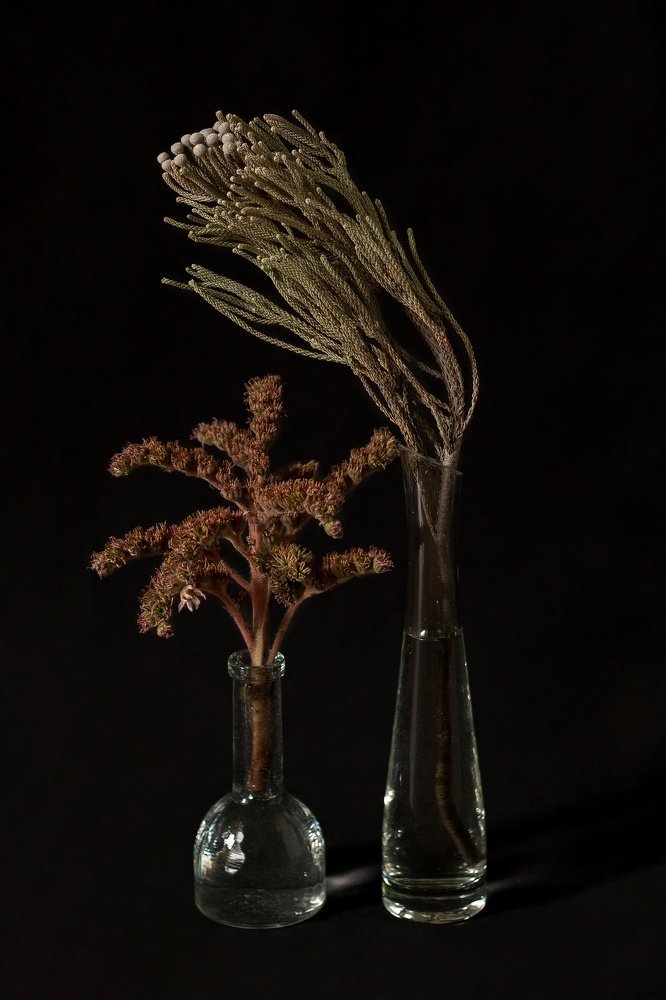 Фотография автора Елена Ельшина