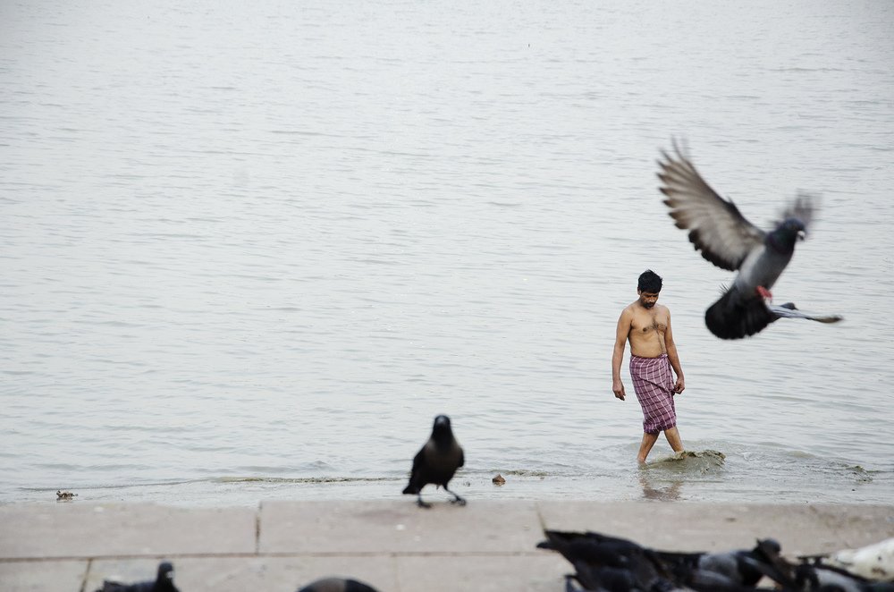 Photograph by Tanay Saha