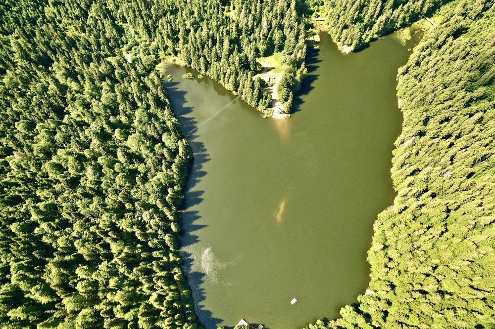 След динозавра