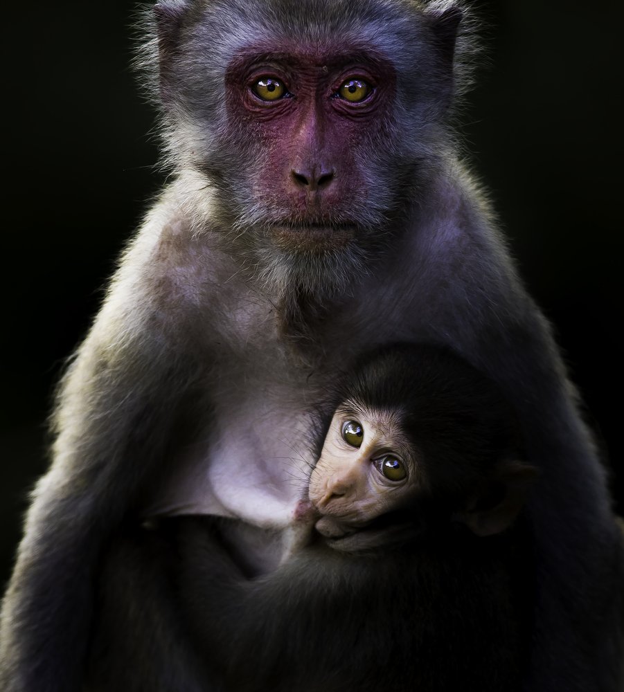 Photograph by Rin Võ