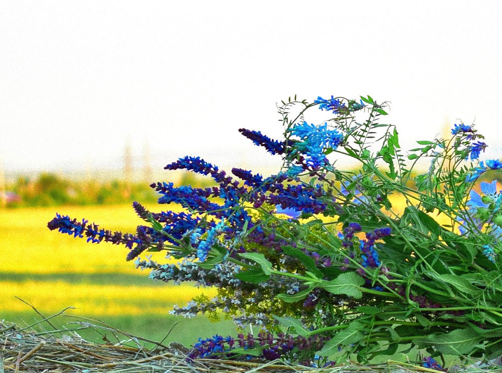 Photograph by Татьяна Дорожко