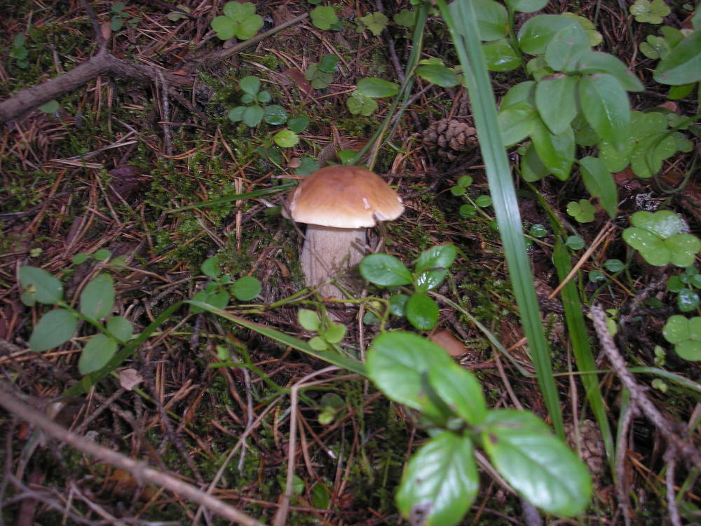 Photograph by Дмитрий Маслов