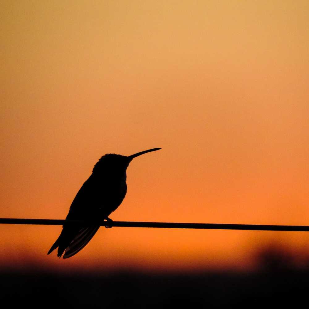 Photograph by Wagner Alcaniz