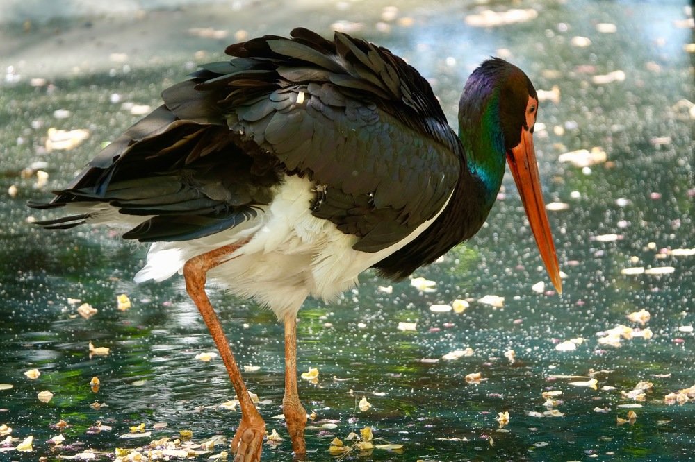 Photograph by Наталья Пирогова