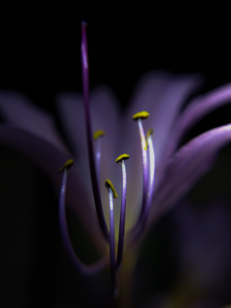 Photograph by Наталья Алексеева