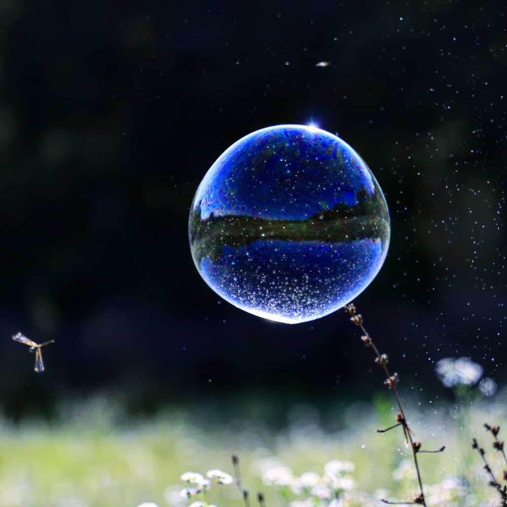 Космический цветок