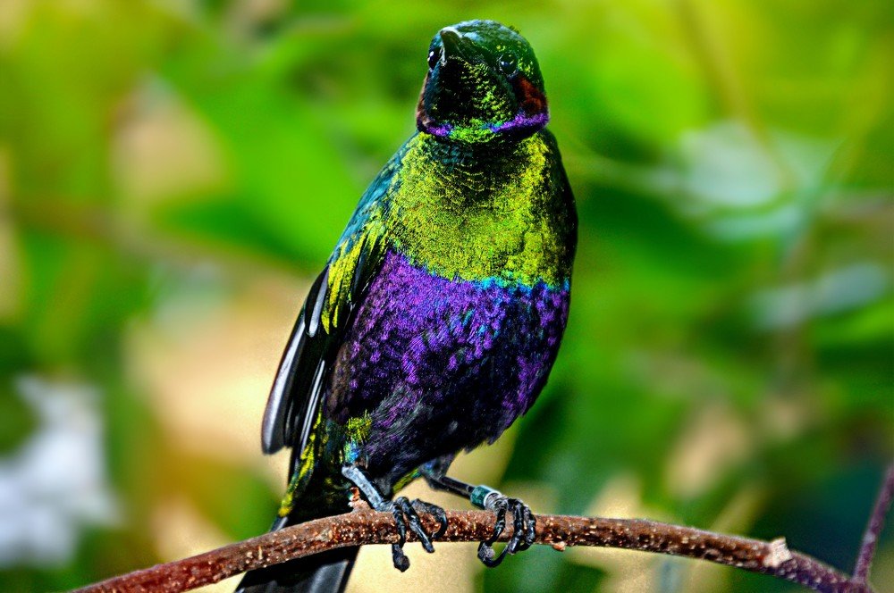 Фотография автора Katerina Georgieva