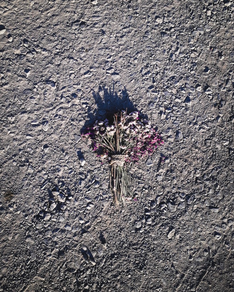 Photograph by Omid Negahban