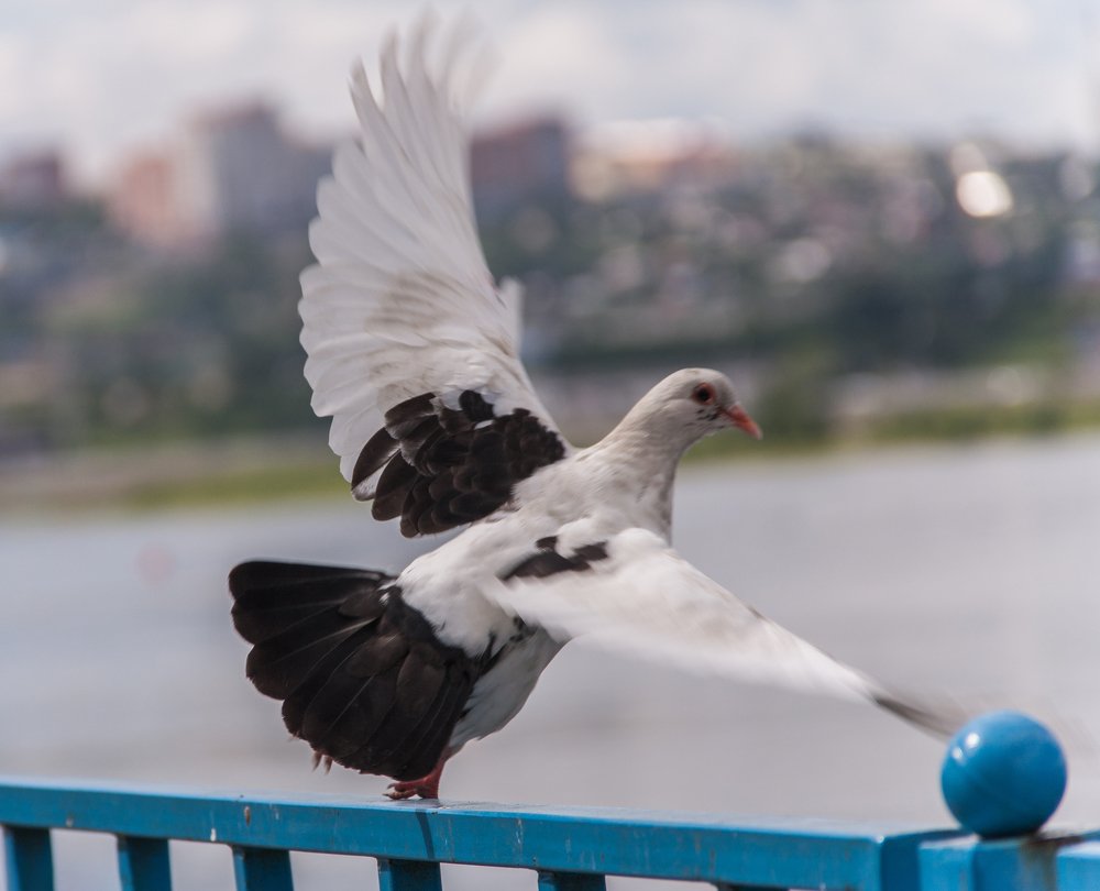 Photograph by Мария