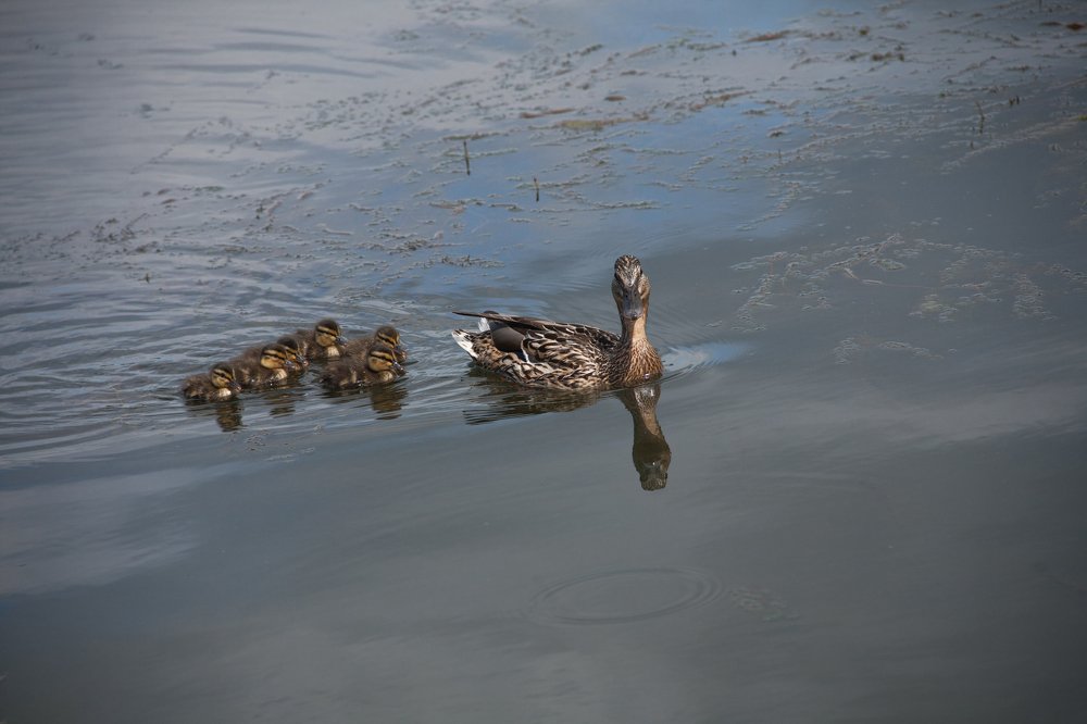 Photograph by Мария