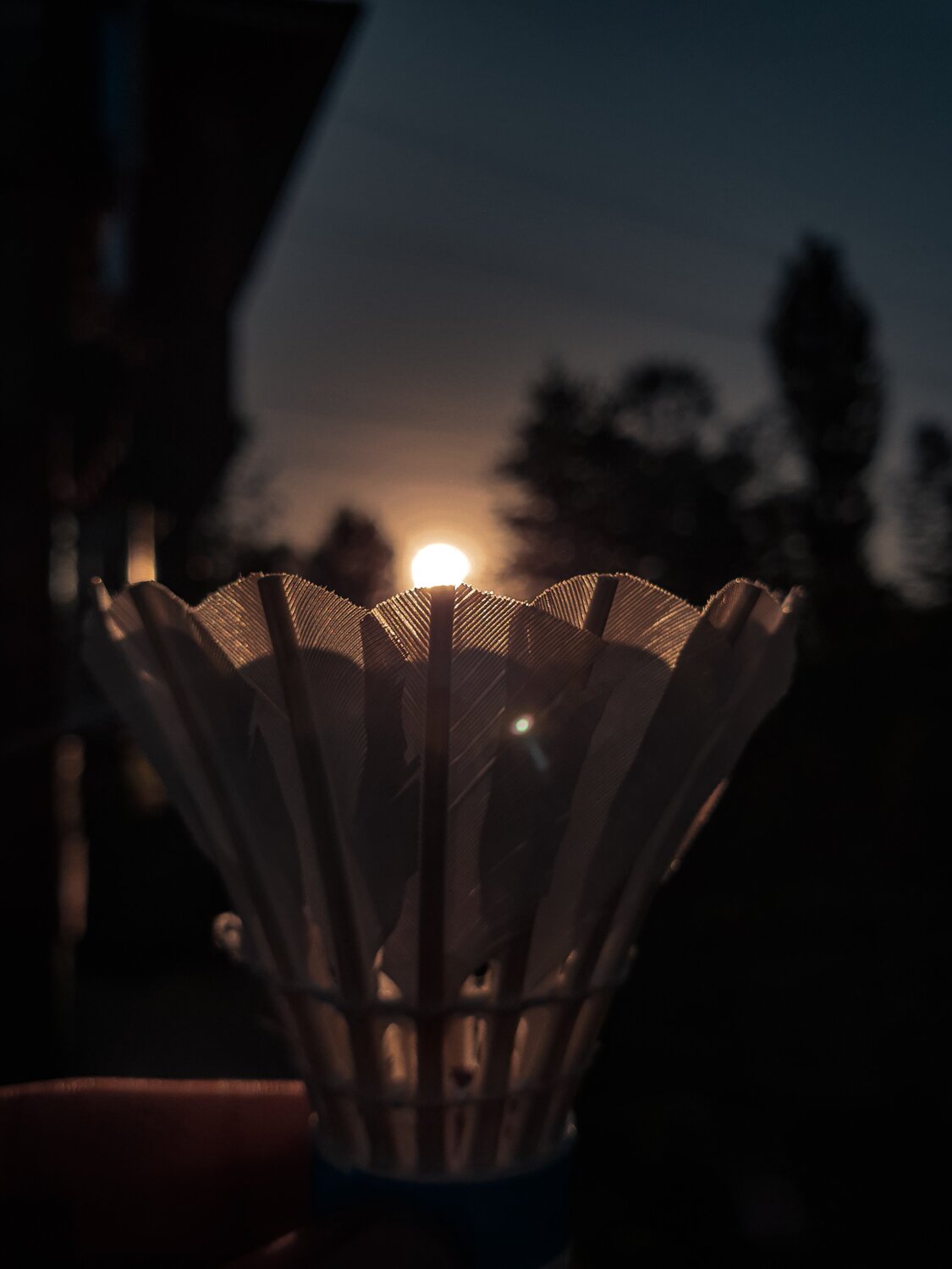 Sunset through shuttlecock