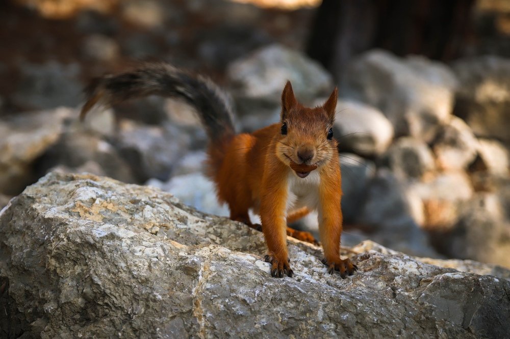 Photograph by Марта Мартынова