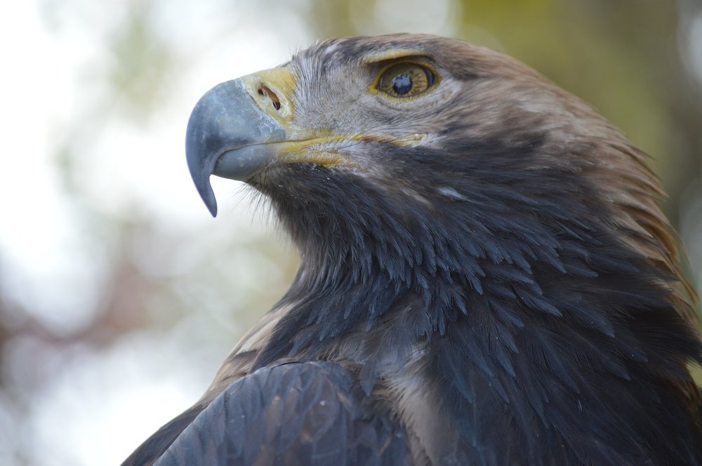 Фотография автора Екатерина Васильева