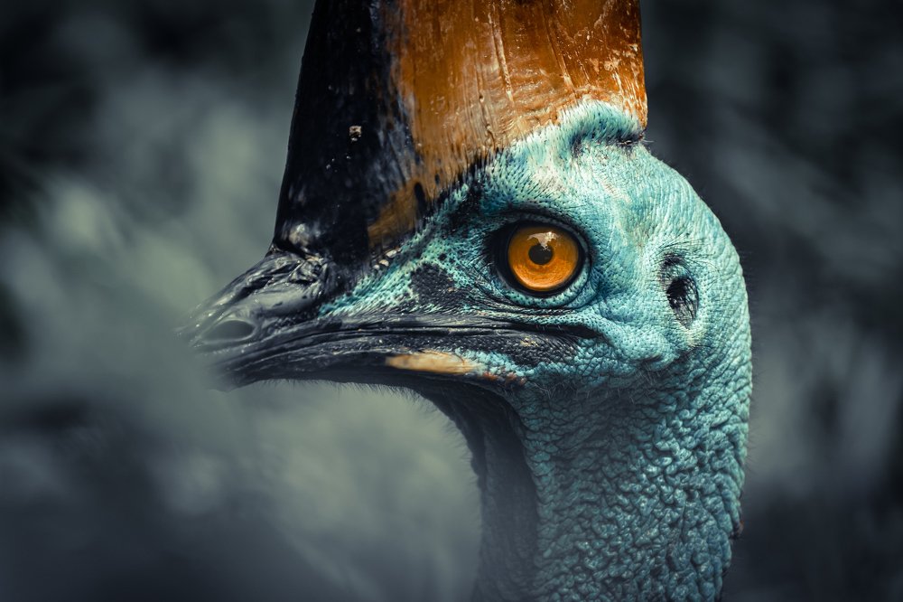 Photograph by Furqan Ali