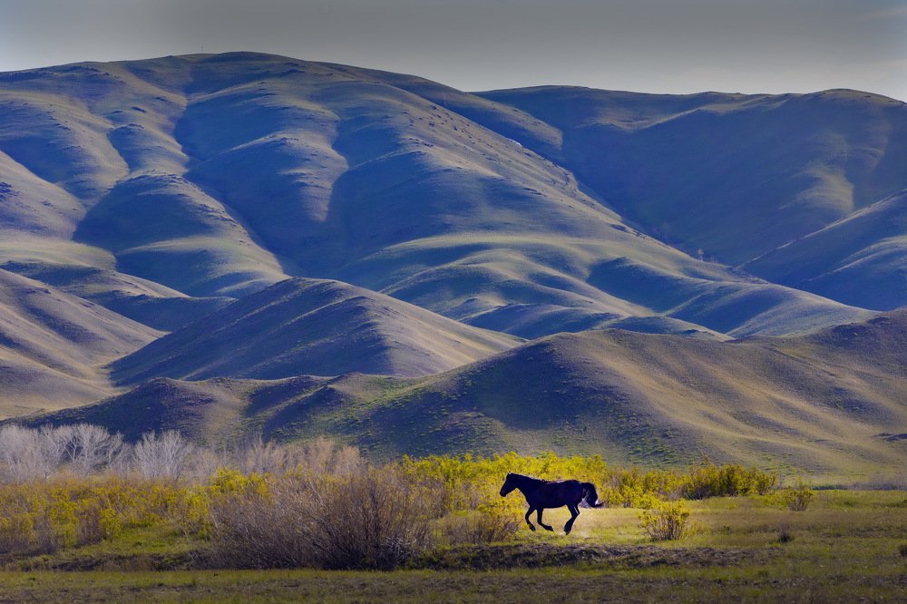 Photograph by петр чиков