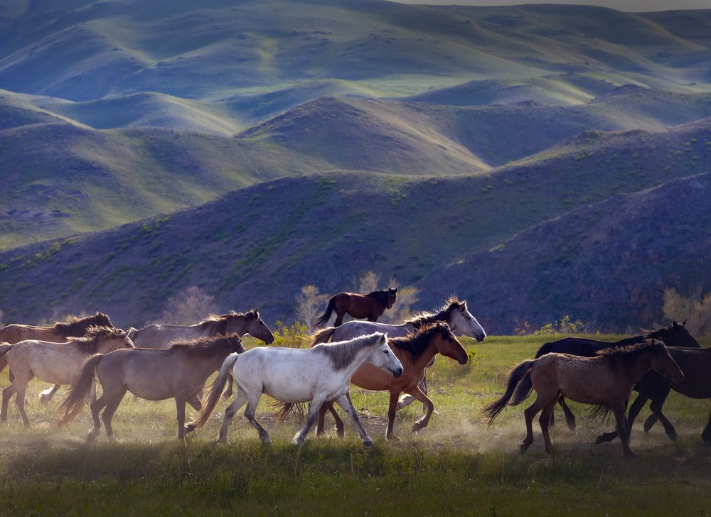 Photograph by петр чиков