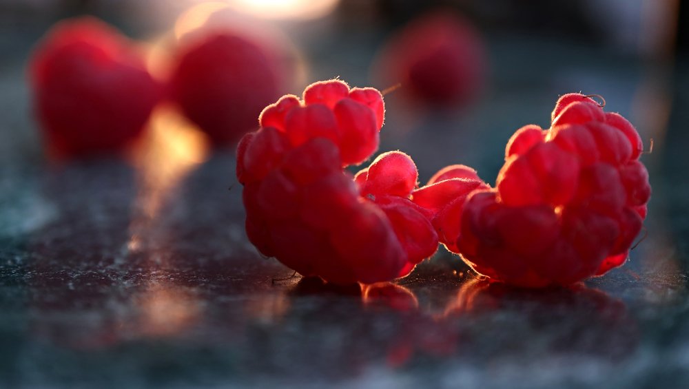 raspberry temptation