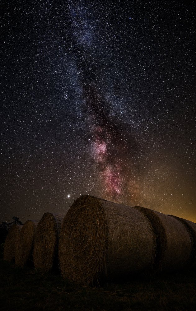 Photograph by Anastasia