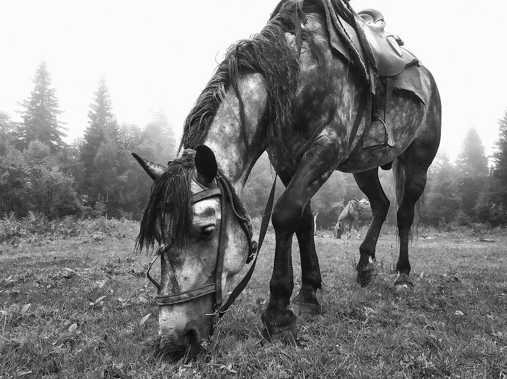 Photograph by Сергей Шварцман