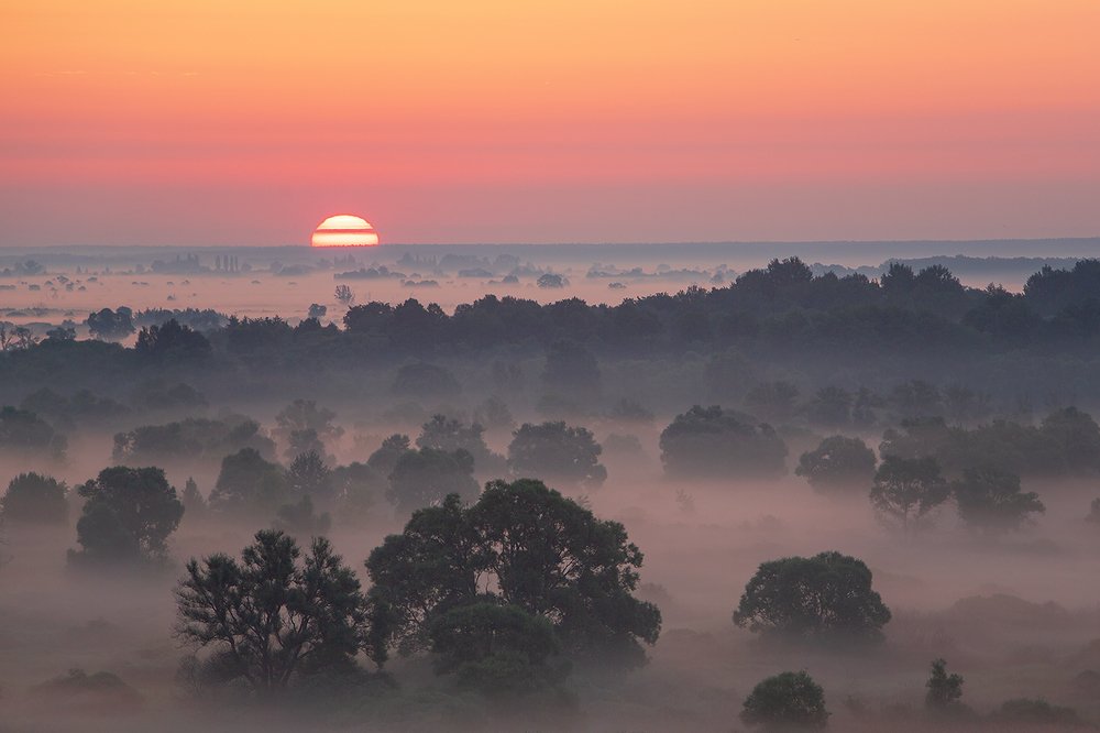 Фотография автора Юрий Сорокин