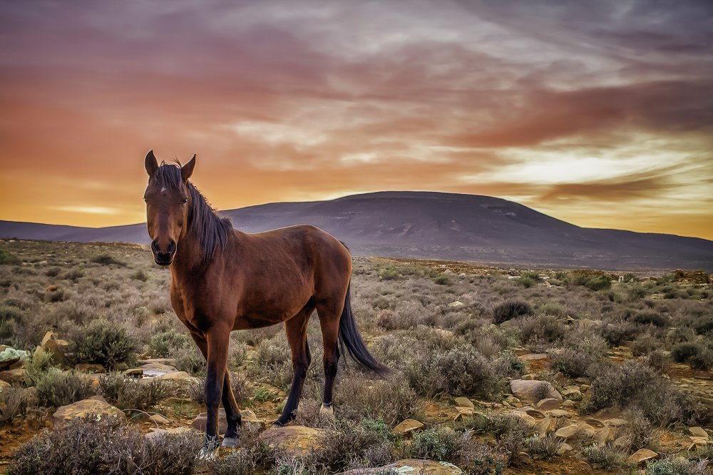 Photograph by Delana Haughton