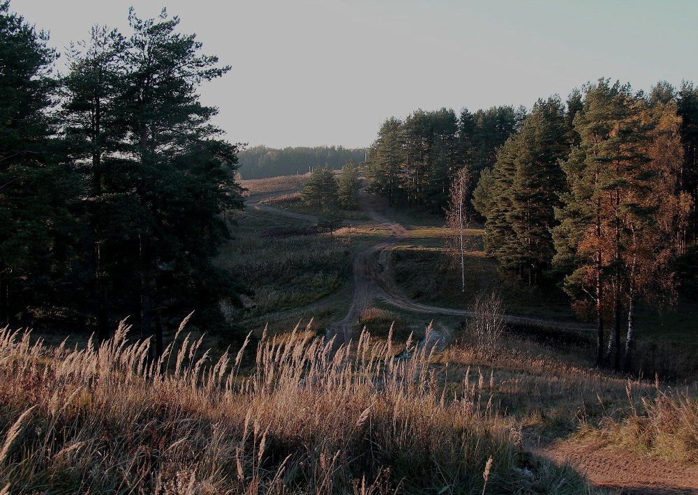 Фотография автора Виктор Крючков