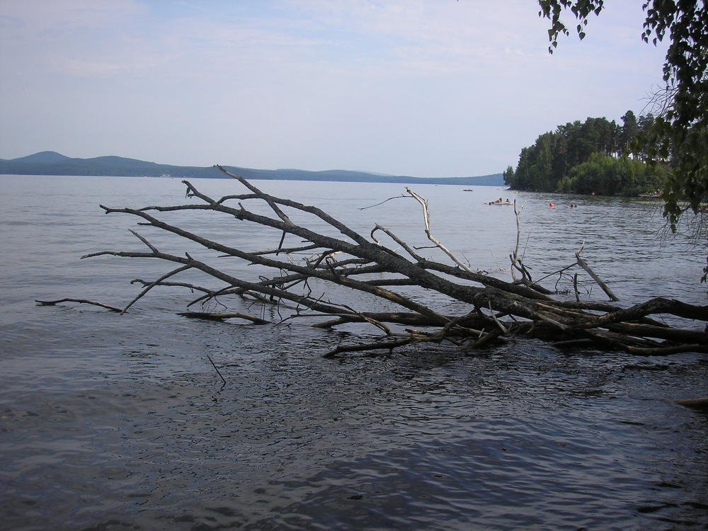Photograph by Дмитрий Маслов