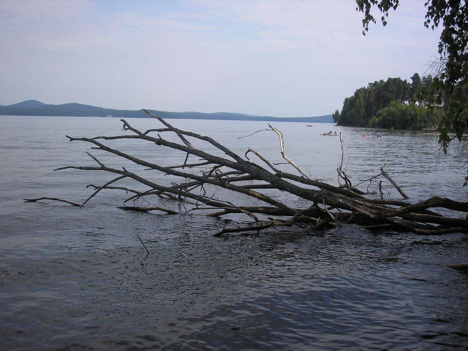 Photo #4865392