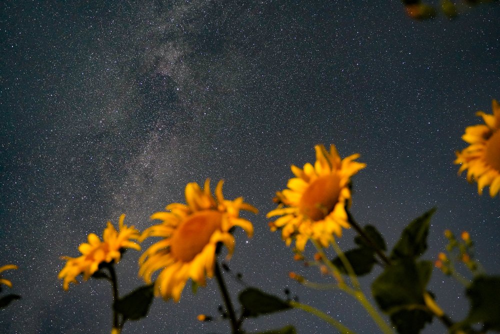 Photograph by Александр Кочергин