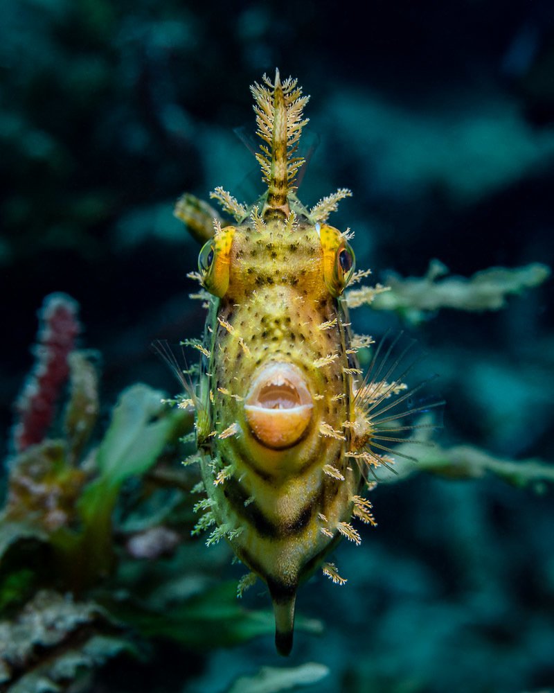 Photograph by Андрей Савин