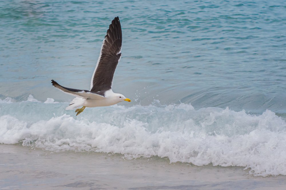 Photograph by Fabricio Bento