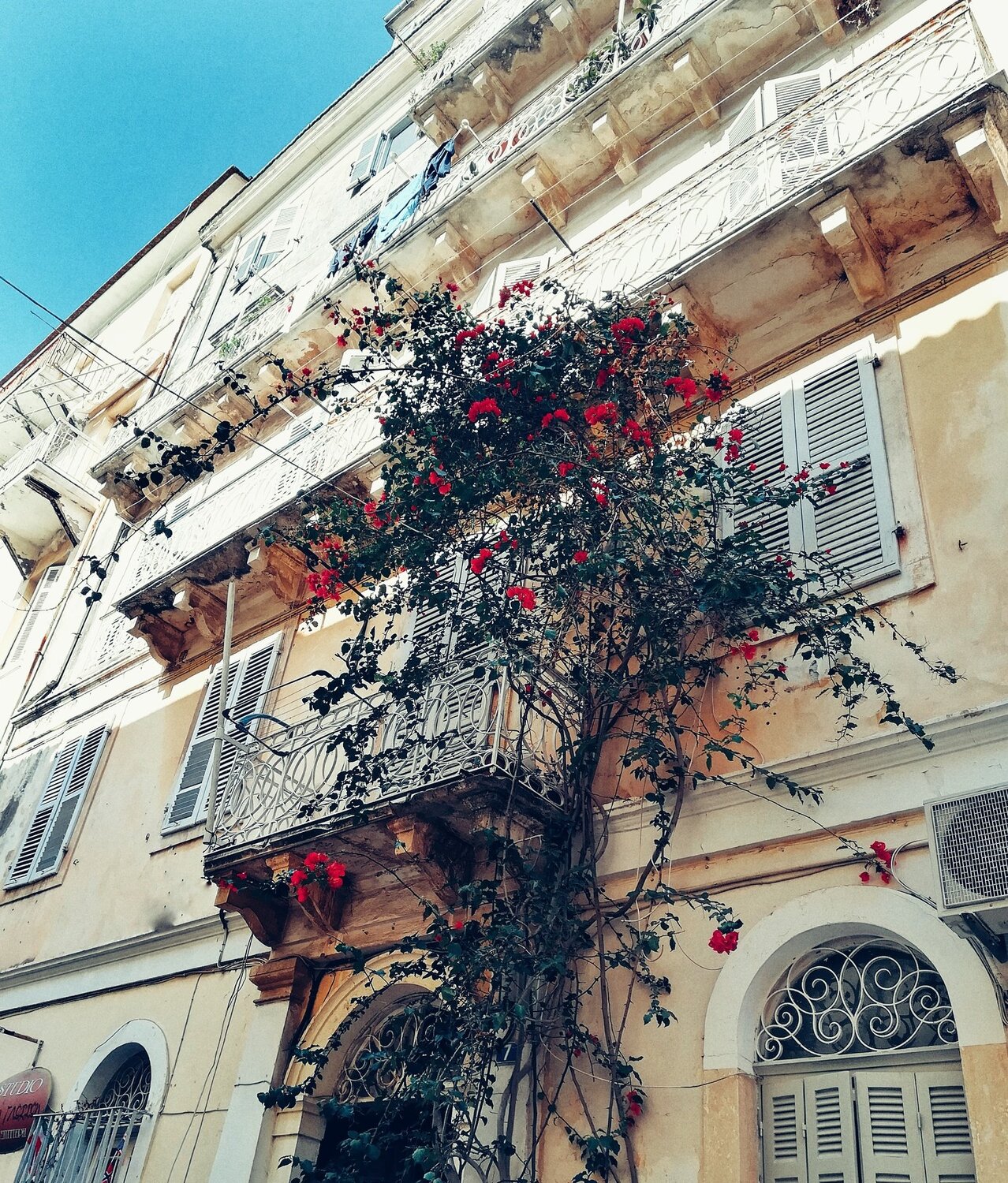 Photo #4865486
