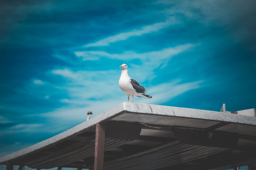 Photograph by Fabricio Bento