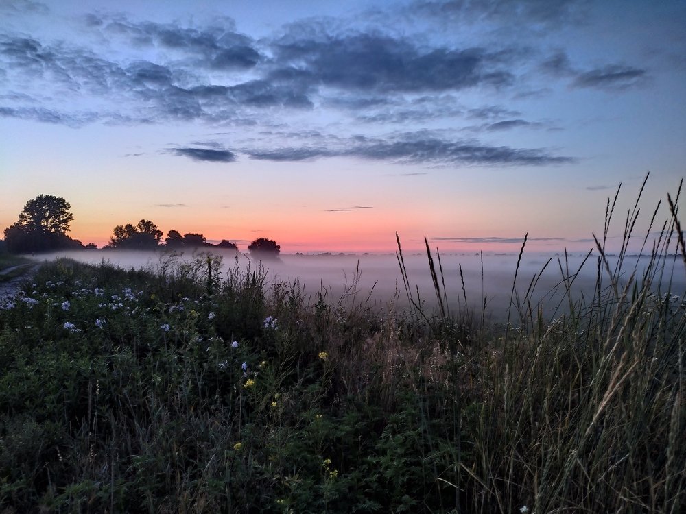 Photo #4865539