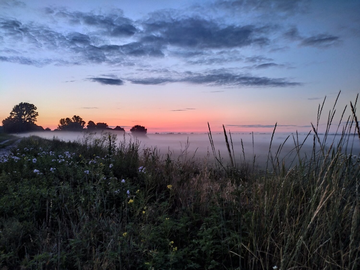 Photo #4865539