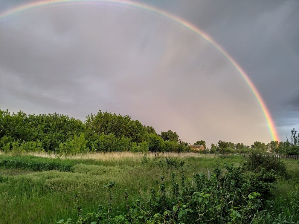 Photograph by Карина Ященко
