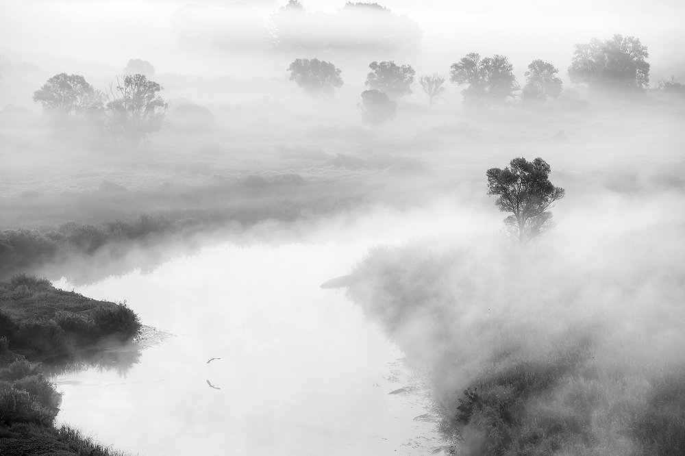 Фотография автора Юрий Сорокин